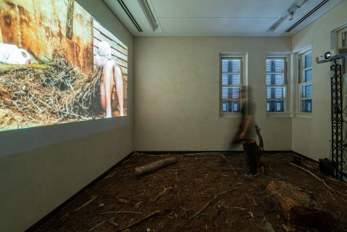 Tal Mezuman, Pit Intrinsic, 2021, video installation, one-channel video with sound, 9:00 minutes<br />
Photography: Neta Cones