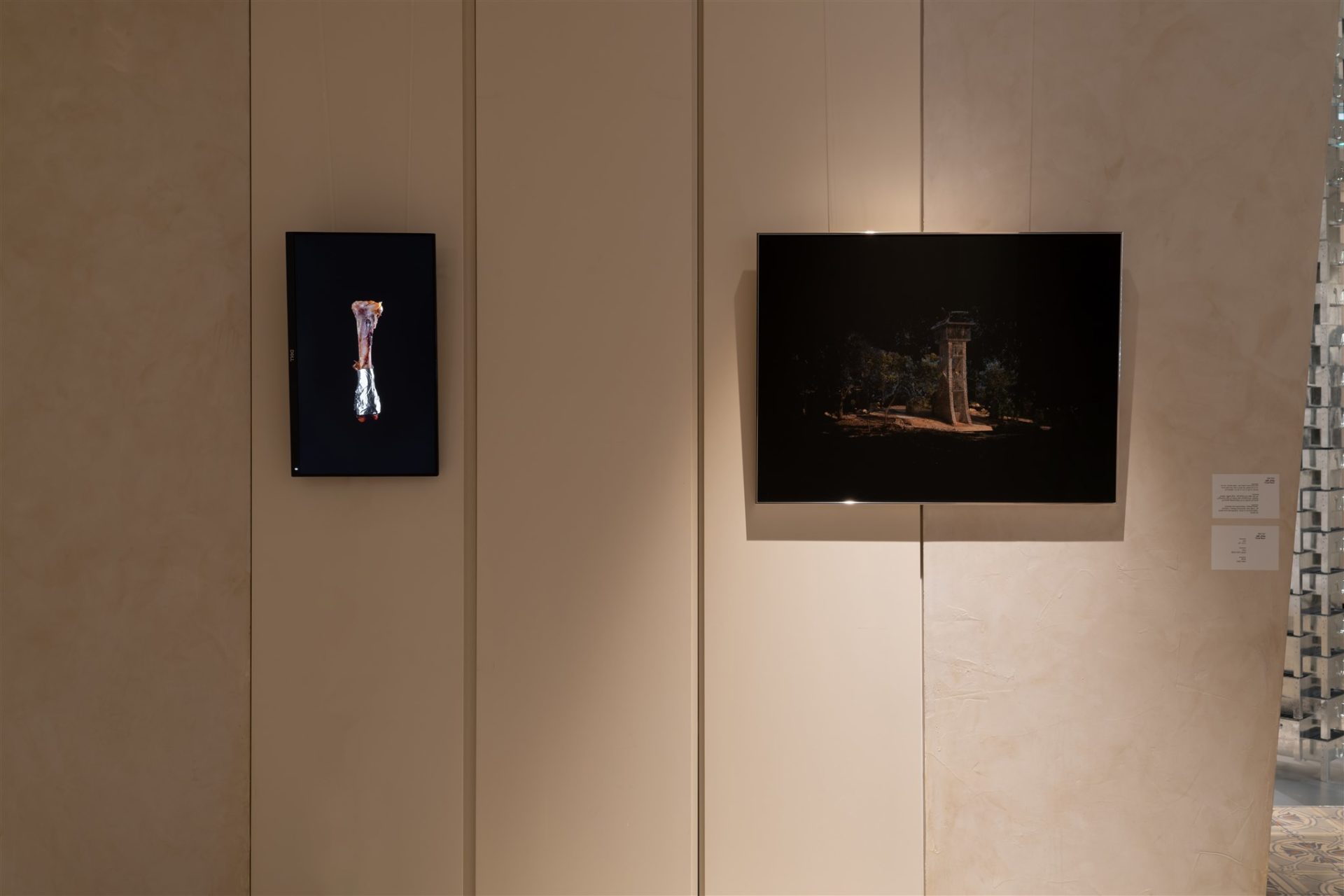Yuval Naor<br />
On the right: Untitled (Fire watchtower, Ahihud Forest. Architect: Yedidya Eisenstadt, late 1960s), 3D model from photographs. Inkjet on archival paper. 60x80 cm<br />
On the left: Bone, Loop video<br />
Photography: Michael Tzur