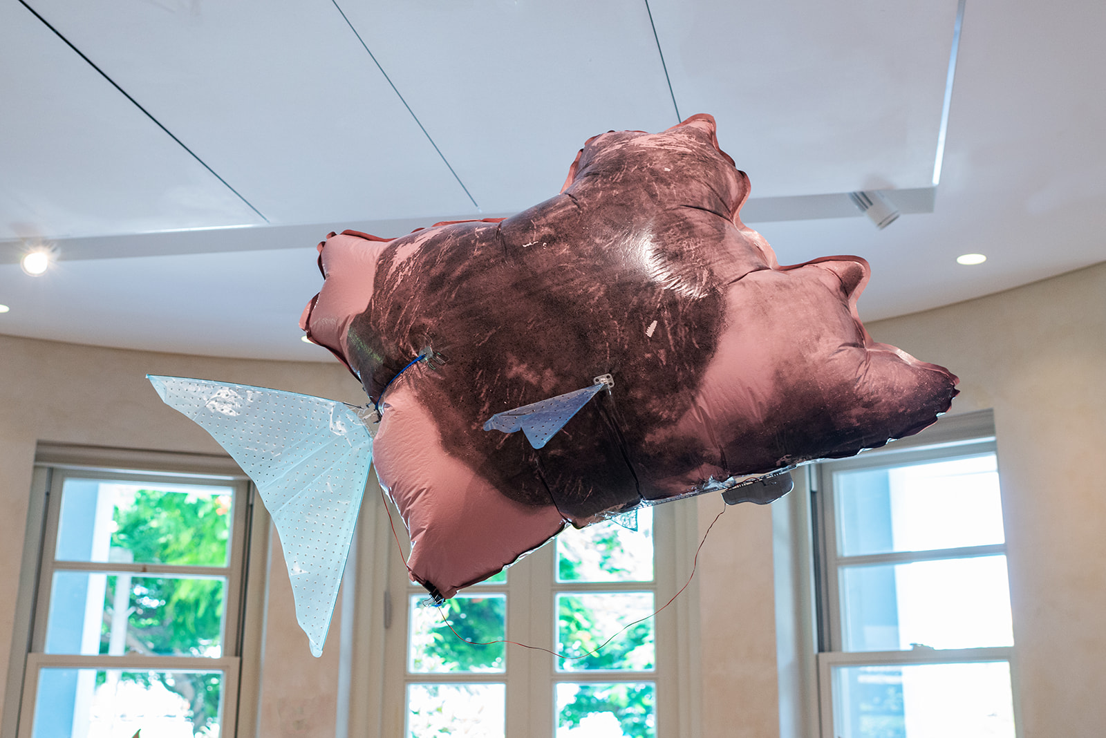 Deborah Fischer, How could you? 2022, mesh print on Mylar, fusion, sound, reuse of the mechanism of a flying shark toy, 40×120×130 cm<br />
Photography: Neta Cones