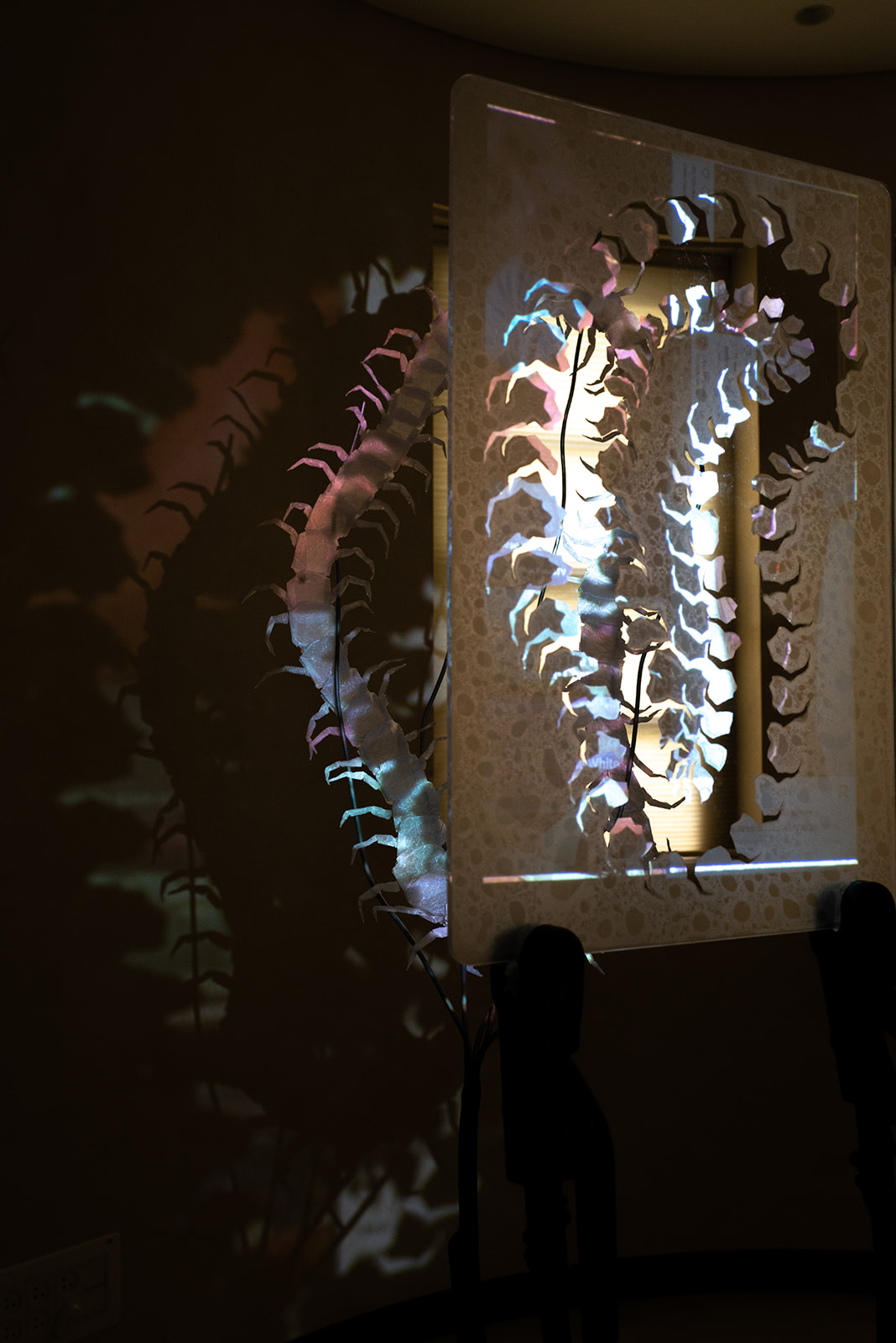 Natalia Nosova, Molting Down, 2022, video projection on sculpted paper<br />
Photography: Neta Cones