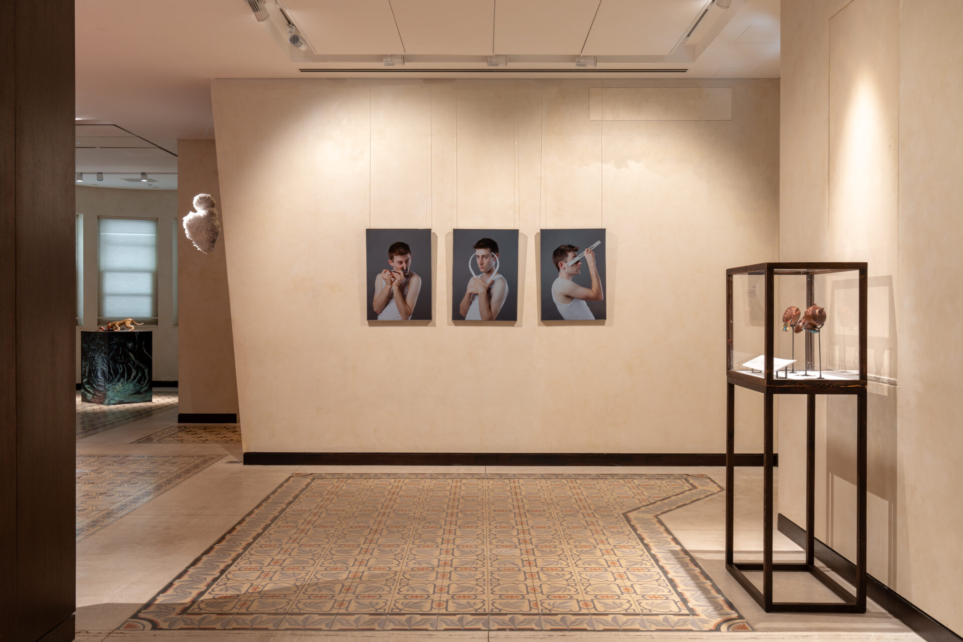 Installation view<br />
Photography: Daniel Hanoch