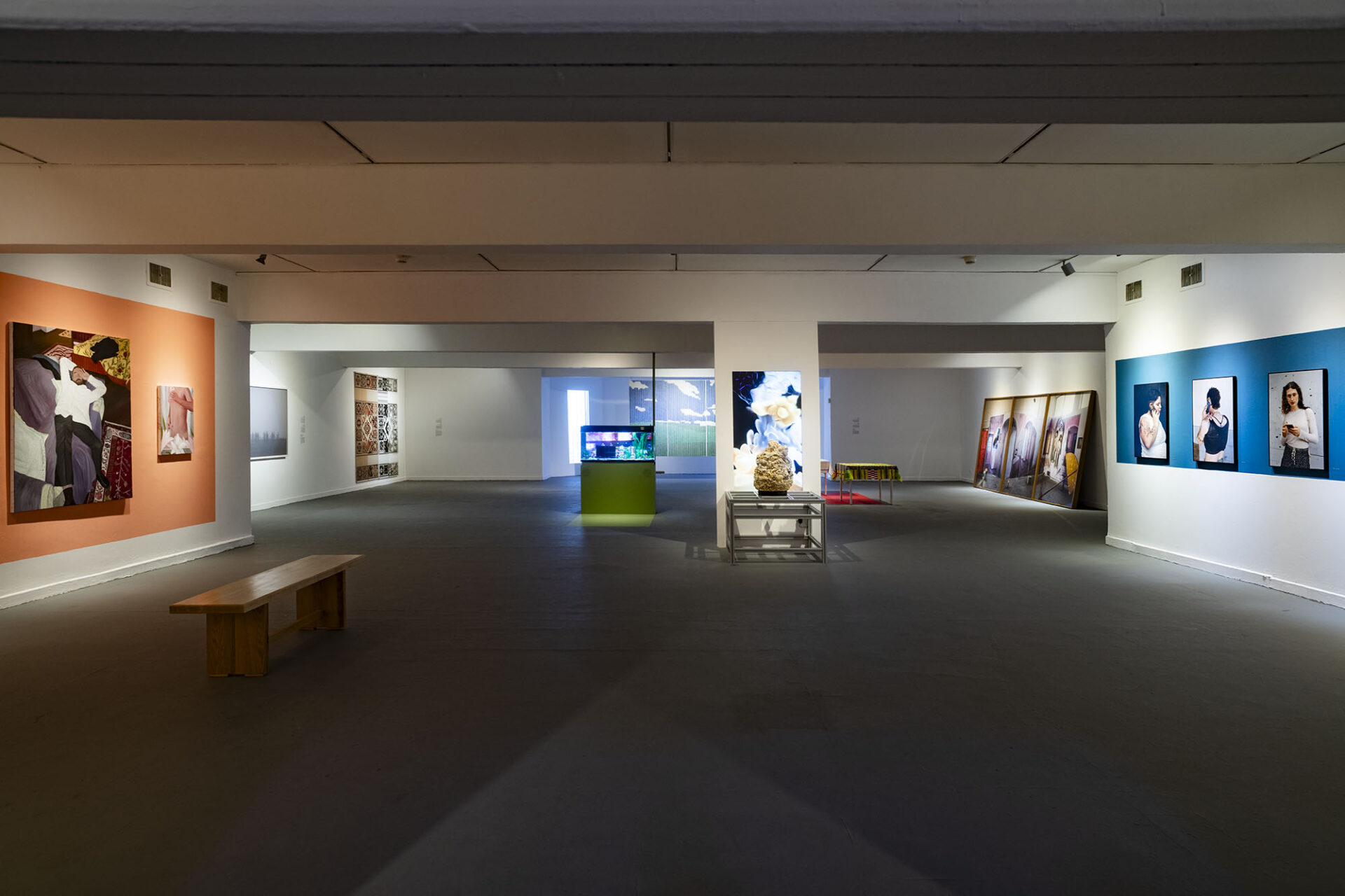 Installation view<br />
Photography: Eli Posner