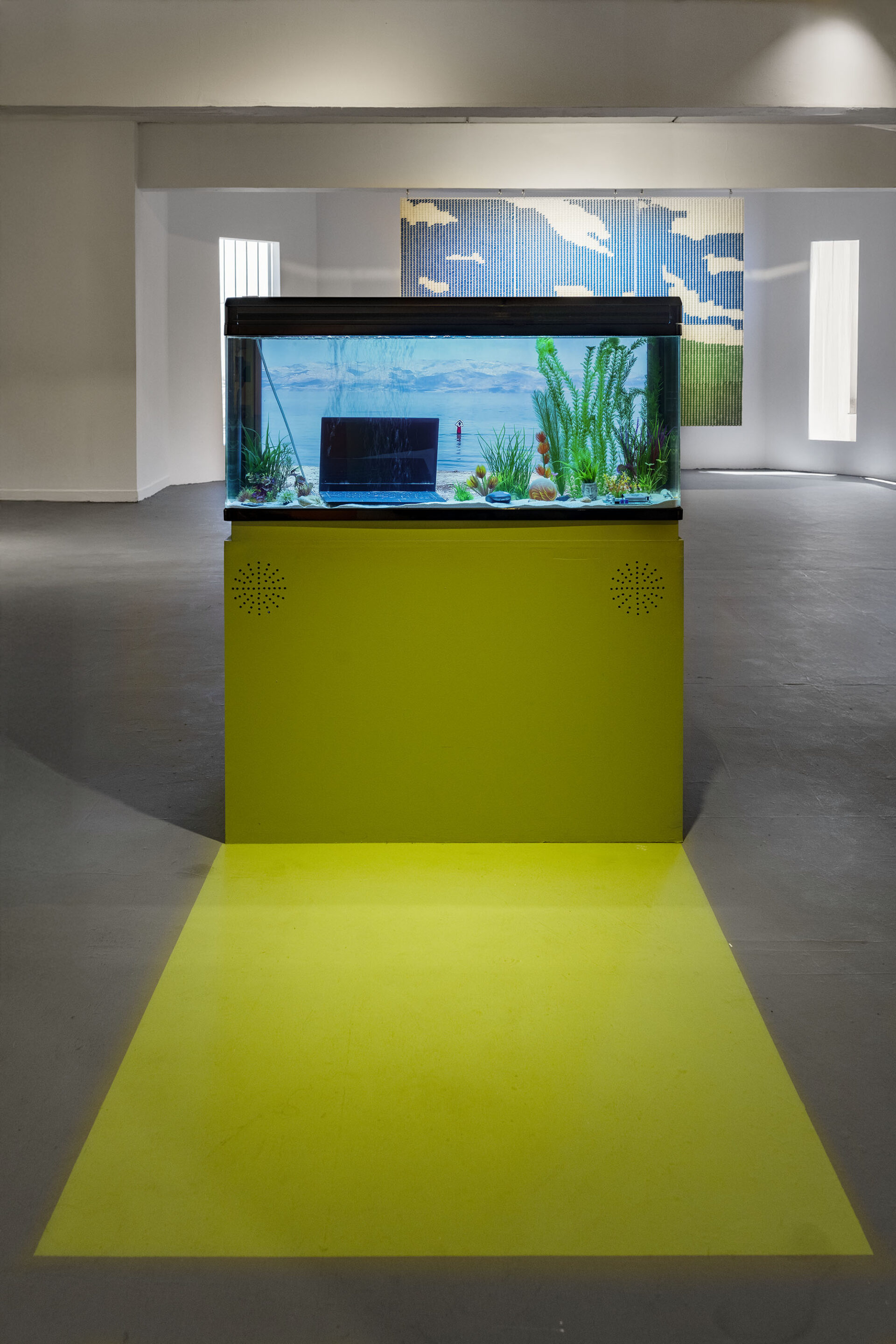 Neta Moses, How to Enjoy Nature (Go Outside), 2021, glass aquarium, video<br />
Photography: Eli Posner