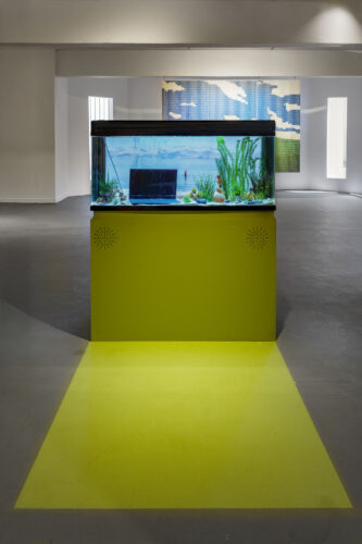 Neta Moses, How to Enjoy Nature (Go Outside), 2021, glass aquarium, video<br />
Photography: Eli Posner