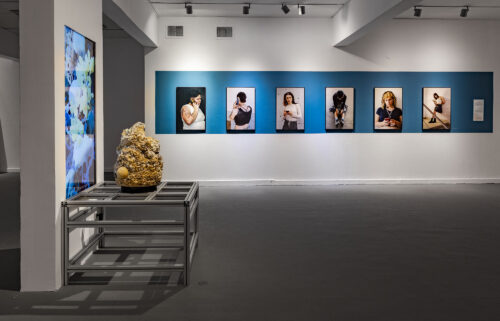 Installation view<br />
Photography: Eli Posner