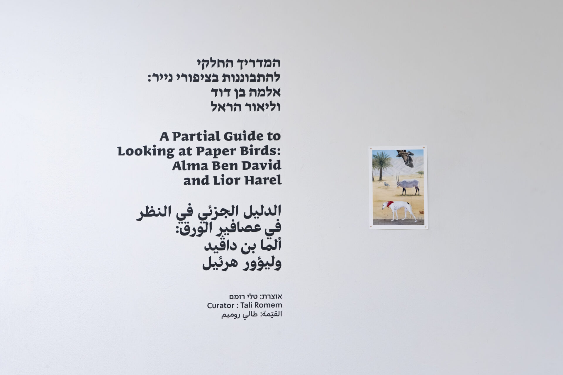צילום: דניאל חנוך