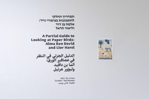 צילום: דניאל חנוך